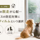 蓮田市でペットの脱走防止に防犯フィルムの選択をされた事例